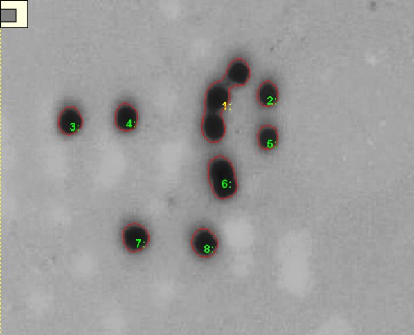 is-2009-0021-A 10 circles - 8 with blob