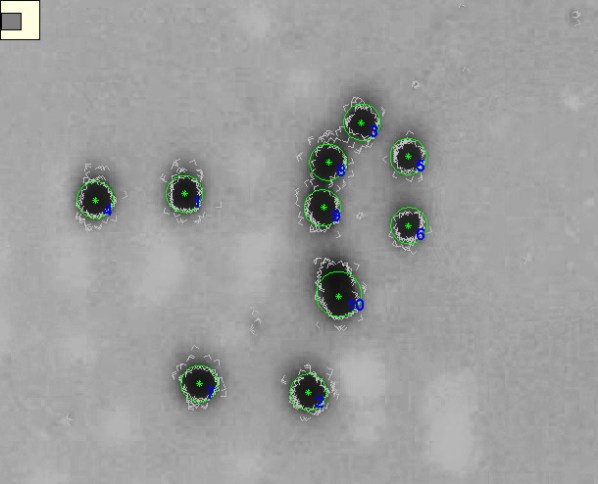 is-2009-0021-A 10 circles