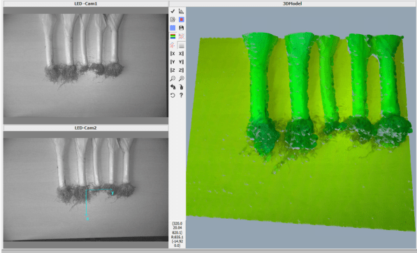 IS-2019-0028-3DLeekImage_Color