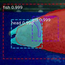 IS-2019-0034-NeuralFishLocator.