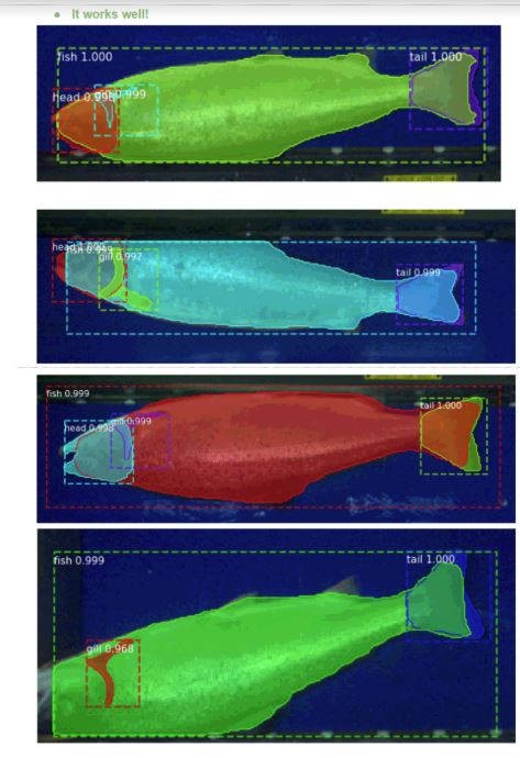 IS-2019-0034-NeuralFishLocator_assembly