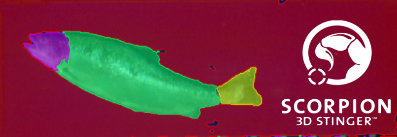 is-2020-0012-A Scorpion Neural Art -3